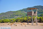 Agiannakis strand | Messinia Peloponnesos Griekenland 11 - Foto van De Griekse Gids