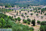 Oud-Messini Ithomi | Messinia Peloponnesos Griekenland 4 - Foto van De Griekse Gids