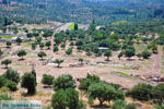 GriechenlandWeb Oud-Messini Ithomi | Messinia Peloponessos | Foto 5 - Foto GriechenlandWeb.de