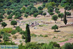 GriechenlandWeb Oud-Messini Ithomi | Messinia Peloponessos | Foto 19 - Foto GriechenlandWeb.de