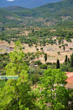 GriechenlandWeb.de Oud-Messini Ithomi | Messinia Peloponessos | Foto 25 - Foto GriechenlandWeb.de