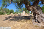 Oud-Sparta (Archaia Sparti) | Lakonia Peloponessos | 6 - Foto GriechenlandWeb.de