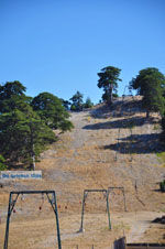 Bergdorpen Ziria | Korinthia Peloponessos | GriechenlandWeb.de 16 - Foto GriechenlandWeb.de