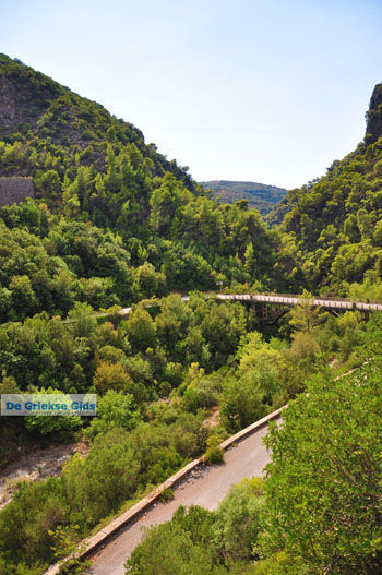 Natuur bij Mani | Messinia Peloponessos | Griekse Gids 4 - Foto van https://www.grieksegids.nl/fotos/peloponessos/normaal/peloponessos-griekenland-0010.jpg