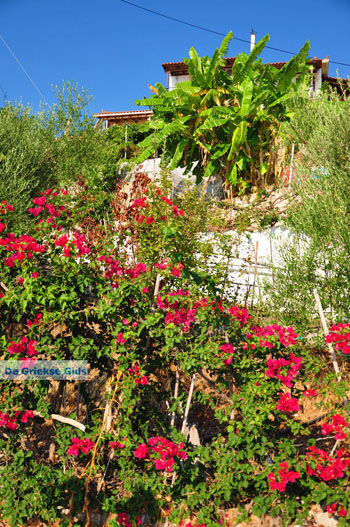 Chrani | Messinia Peloponnesos Griekenland 7 - Foto van https://www.grieksegids.nl/fotos/peloponessos/normaal/peloponessos-griekenland-0168.jpg