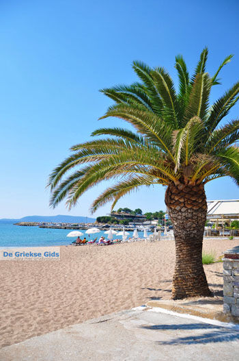 Finikounda | Messinia Peloponnesos Griekenland 4 - Foto van https://www.grieksegids.nl/fotos/peloponessos/normaal/peloponessos-griekenland-0275.jpg