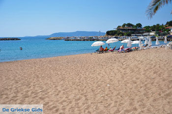 Finikounda | Messinia Peloponnesos Griekenland 6 - Foto van https://www.grieksegids.nl/fotos/peloponessos/normaal/peloponessos-griekenland-0277.jpg