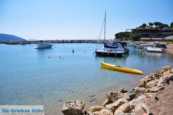 Finikounda | Messinia Peloponnesos Griekenland 19 - Foto van https://www.grieksegids.nl/fotos/peloponessos/normaal/peloponessos-griekenland-0290.jpg