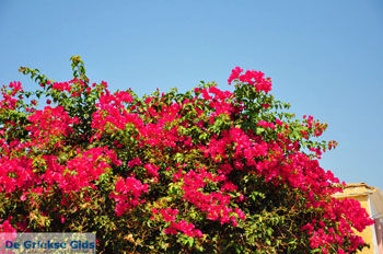 Methoni | Messinia Peloponnesos Griekenland foto 72 - Foto van https://www.grieksegids.nl/fotos/peloponessos/normaal/peloponessos-griekenland-0370.jpg