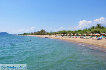 Gialova | Messinia Peloponnesos Griekenland 4 - Foto van https://www.grieksegids.nl/fotos/peloponessos/normaal/peloponessos-griekenland-0412.jpg