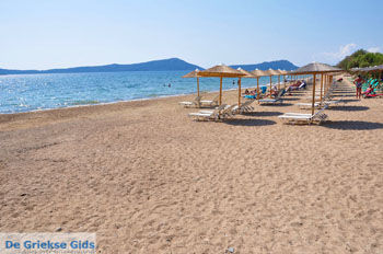 Gialova | Messinia Peloponnesos Griekenland 8 - Foto van https://www.grieksegids.nl/fotos/peloponessos/normaal/peloponessos-griekenland-0416.jpg