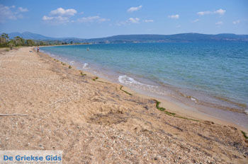 Gialova | Messinia Peloponnesos Griekenland 16 - Foto van https://www.grieksegids.nl/fotos/peloponessos/normaal/peloponessos-griekenland-0424.jpg