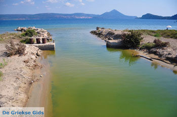 Gialova | Messinia Peloponnesos Griekenland 18 - Foto van https://www.grieksegids.nl/fotos/peloponessos/normaal/peloponessos-griekenland-0426.jpg