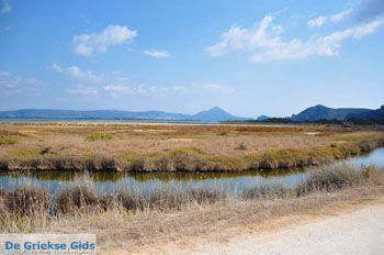 Bij Gialova en Voidokilia | Messinia Peloponnesos Griekenland 17 - Foto van https://www.grieksegids.nl/fotos/peloponessos/normaal/peloponessos-griekenland-0444.jpg