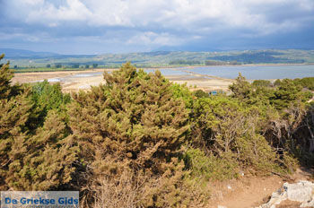 Bij Gialova en Voidokilia | Messinia Peloponnesos Griekenland 46 - Foto van https://www.grieksegids.nl/fotos/peloponessos/normaal/peloponessos-griekenland-0473.jpg