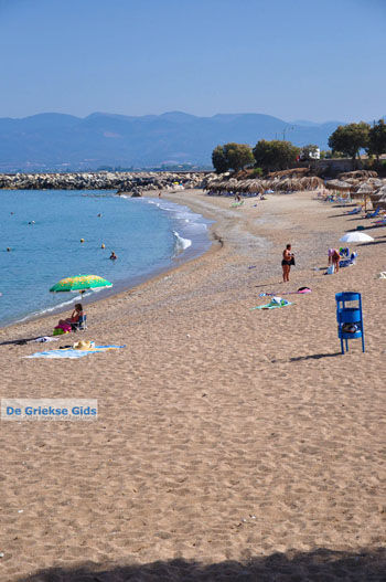 Kyparissia | Messinia Peloponnesos Griekenland 8 - Foto van https://www.grieksegids.nl/fotos/peloponessos/normaal/peloponessos-griekenland-0601.jpg