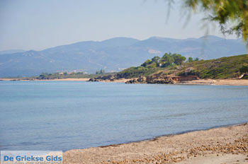 Kyparissia | Messinia Peloponnesos Griekenland 12 - Foto van https://www.grieksegids.nl/fotos/peloponessos/normaal/peloponessos-griekenland-0605.jpg