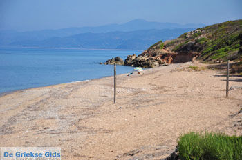 Kyparissia | Messinia Peloponnesos Griekenland 15 - Foto van https://www.grieksegids.nl/fotos/peloponessos/normaal/peloponessos-griekenland-0608.jpg