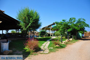 Sani bij Kyparissia | Messinia Peloponessos | 2 - Foto van https://www.grieksegids.nl/fotos/peloponessos/normaal/peloponessos-griekenland-0611.jpg