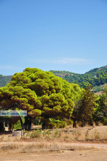 Agiannakis strand | Messinia Peloponnesos Griekenland 2 - Foto van https://www.grieksegids.nl/fotos/peloponessos/normaal/peloponessos-griekenland-0636.jpg