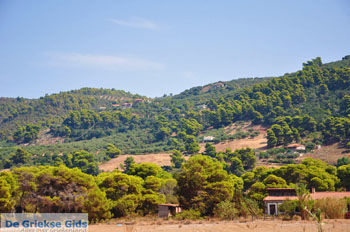 Agiannakis strand | Messinia Peloponnesos Griekenland 4 - Foto van https://www.grieksegids.nl/fotos/peloponessos/normaal/peloponessos-griekenland-0638.jpg