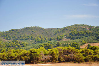 Agiannakis strand | Messinia Peloponnesos Griekenland 5 - Foto van https://www.grieksegids.nl/fotos/peloponessos/normaal/peloponessos-griekenland-0639.jpg