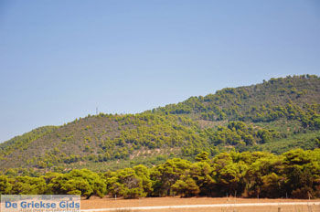 Agiannakis strand | Messinia Peloponnesos Griekenland 6 - Foto van https://www.grieksegids.nl/fotos/peloponessos/normaal/peloponessos-griekenland-0640.jpg