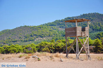 Agiannakis strand | Messinia Peloponnesos Griekenland 11 - Foto van https://www.grieksegids.nl/fotos/peloponessos/normaal/peloponessos-griekenland-0645.jpg