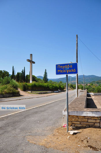 Meligalas | Messinia Peloponnesos Griekenland 4 - Foto van https://www.grieksegids.nl/fotos/peloponessos/normaal/peloponessos-griekenland-0652.jpg