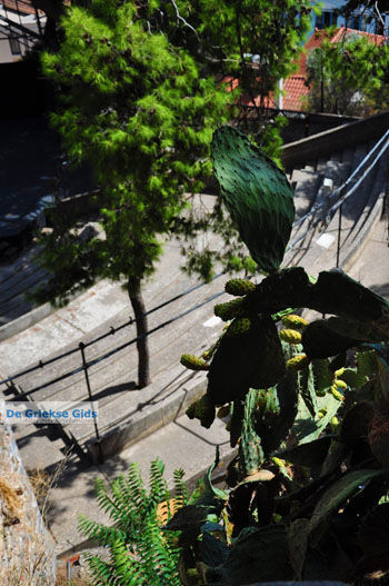 Kalamata | Messinia Peloponnesos Griekenland 40 - Foto van https://www.grieksegids.nl/fotos/peloponessos/normaal/peloponessos-griekenland-0752.jpg