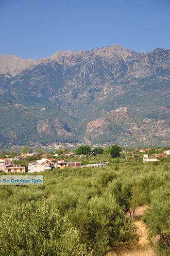 Sparta (Sparti) | Lakonia Peloponnesos Griekenland 4 - Foto van https://www.grieksegids.nl/fotos/peloponessos/normaal/peloponessos-griekenland-0922.jpg