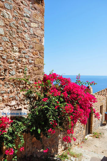Monemvasia (Monemvassia) | Lakonia Peloponnesos Griekenland 101 - Foto van https://www.grieksegids.nl/fotos/peloponessos/normaal/peloponessos-griekenland-1036.jpg