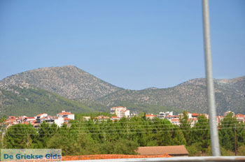 Autosnelweg Kalamata - Korinthe bij Tripolis | De Griekse Gids foto 2 - Foto van https://www.grieksegids.nl/fotos/peloponessos/normaal/peloponessos-griekenland-1145.jpg