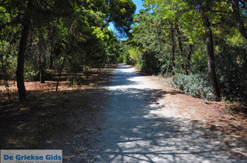 Xylokastro | Korinthia Peloponnesos Griekenland 4 - Foto van https://www.grieksegids.nl/fotos/peloponessos/normaal/peloponessos-griekenland-1170.jpg