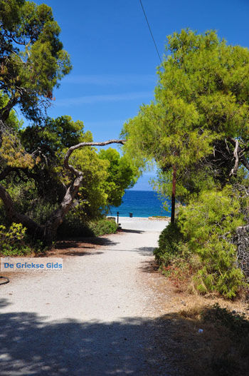 Xylokastro | Korinthia Peloponnesos Griekenland 6 - Foto van https://www.grieksegids.nl/fotos/peloponessos/normaal/peloponessos-griekenland-1172.jpg