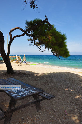 Xylokastro | Korinthia Peloponnesos Griekenland 9 - Foto van https://www.grieksegids.nl/fotos/peloponessos/normaal/peloponessos-griekenland-1175.jpg