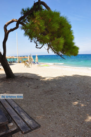 Xylokastro | Korinthia Peloponnesos Griekenland 10 - Foto van https://www.grieksegids.nl/fotos/peloponessos/normaal/peloponessos-griekenland-1176.jpg