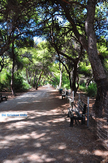 Xylokastro | Korinthia Peloponnesos Griekenland 19 - Foto van https://www.grieksegids.nl/fotos/peloponessos/normaal/peloponessos-griekenland-1185.jpg