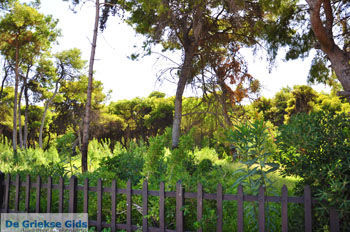 Xylokastro | Korinthia Peloponnesos Griekenland 48 - Foto van https://www.grieksegids.nl/fotos/peloponessos/normaal/peloponessos-griekenland-1214.jpg