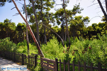 Xylokastro | Korinthia Peloponnesos Griekenland 50 - Foto van https://www.grieksegids.nl/fotos/peloponessos/normaal/peloponessos-griekenland-1216.jpg