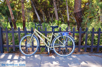 Xylokastro | Korinthia Peloponnesos Griekenland 51 - Foto van https://www.grieksegids.nl/fotos/peloponessos/normaal/peloponessos-griekenland-1217.jpg