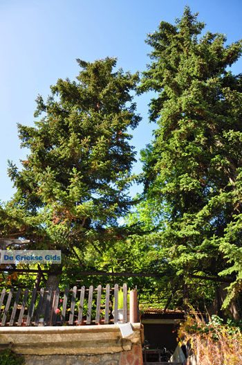 Bergdorpen Ziria | Korinthia Peloponnesos Griekenland 2 - Foto van https://www.grieksegids.nl/fotos/peloponessos/normaal/peloponessos-griekenland-1221.jpg