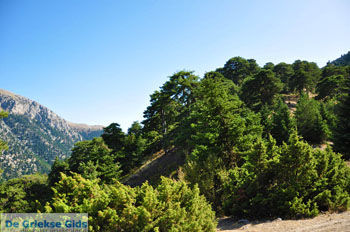 Bergdorpen Ziria | Korinthia Peloponnesos Griekenland 13 - Foto van https://www.grieksegids.nl/fotos/peloponessos/normaal/peloponessos-griekenland-1232.jpg