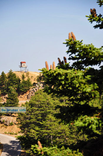 Bergdorpen Ziria | Korinthia Peloponnesos Griekenland 18 - Foto van https://www.grieksegids.nl/fotos/peloponessos/normaal/peloponessos-griekenland-1237.jpg