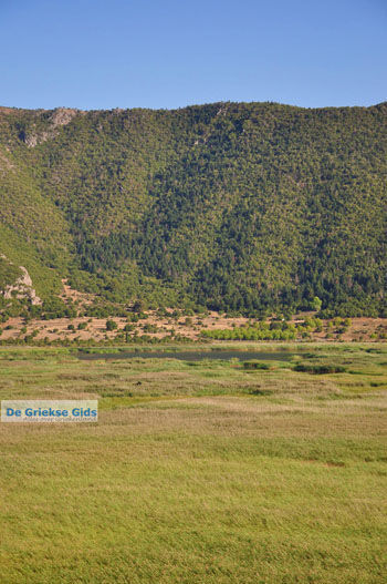 Stymfalia | Korinthia Peloponnesos Griekenland 5 - Foto van https://www.grieksegids.nl/fotos/peloponessos/normaal/peloponessos-griekenland-1246.jpg