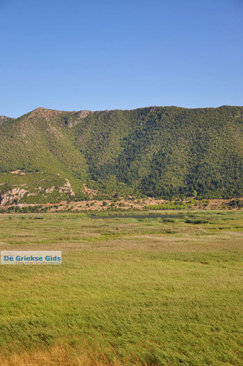 Stymfalia | Korinthia Peloponnesos Griekenland 6 - Foto van https://www.grieksegids.nl/fotos/peloponessos/normaal/peloponessos-griekenland-1247.jpg