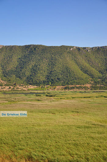 Stymfalia | Korinthia Peloponnesos Griekenland 7 - Foto van https://www.grieksegids.nl/fotos/peloponessos/normaal/peloponessos-griekenland-1248.jpg