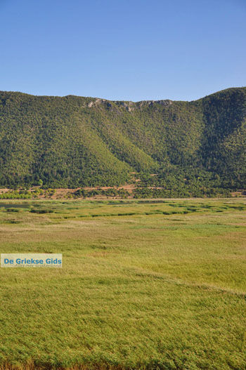 Stymfalia | Korinthia Peloponnesos Griekenland 8 - Foto van https://www.grieksegids.nl/fotos/peloponessos/normaal/peloponessos-griekenland-1249.jpg