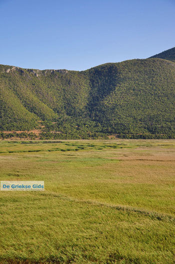 Stymfalia | Korinthia Peloponnesos Griekenland 9 - Foto van https://www.grieksegids.nl/fotos/peloponessos/normaal/peloponessos-griekenland-1250.jpg