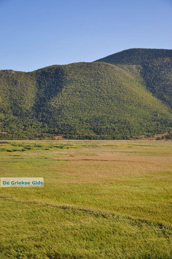 Stymfalia | Korinthia Peloponnesos Griekenland 10 - Foto van https://www.grieksegids.nl/fotos/peloponessos/normaal/peloponessos-griekenland-1251.jpg